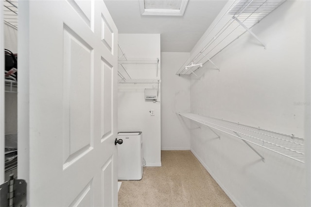 spacious closet featuring light carpet