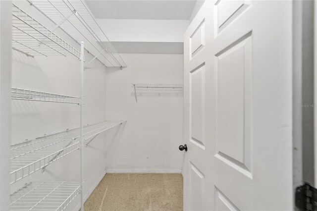 walk in closet with light colored carpet