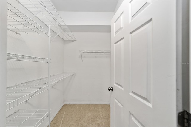 view of walk in closet