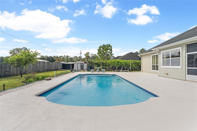 view of swimming pool with a patio and a storage shed