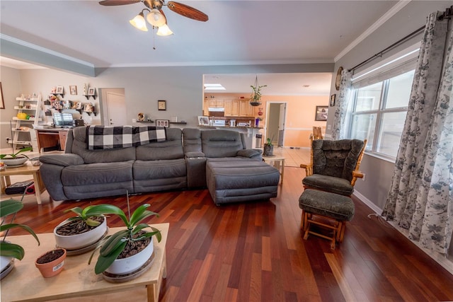 living room with dark wood-type flooring, ceiling fan, and ornamental molding