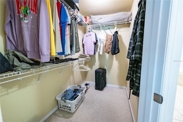 spacious closet featuring carpet