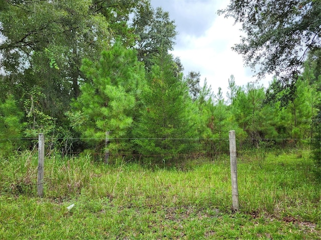 Listing photo 2 for 15048 NW 94th Ln, Lake Butler FL 32054