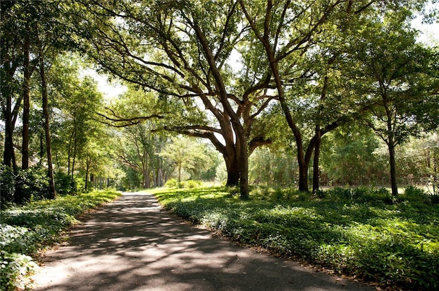 view of road