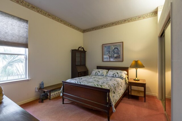 bedroom featuring carpet and a closet