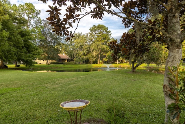 view of community with a water view and a lawn