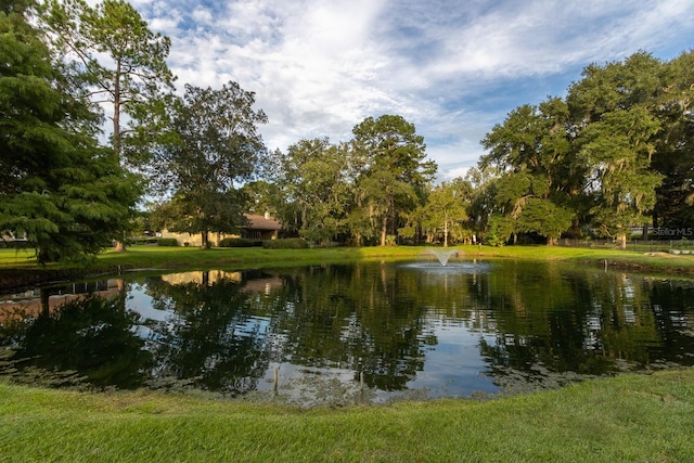 11509 NW 67th Ter, Alachua, FL 32615 - water view