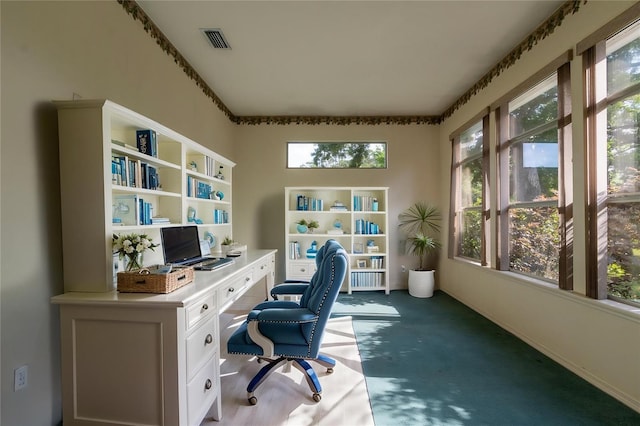 11509 NW 67th Ter, Alachua, FL 32615 - office space with dark carpet and visible vents