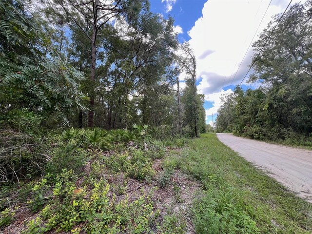 NW 58th Ln, Chiefland FL, 32626 land for sale