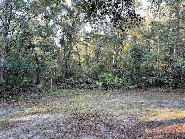 TBD Sw 188th Place, Mc Alpin FL, 32062 land for sale