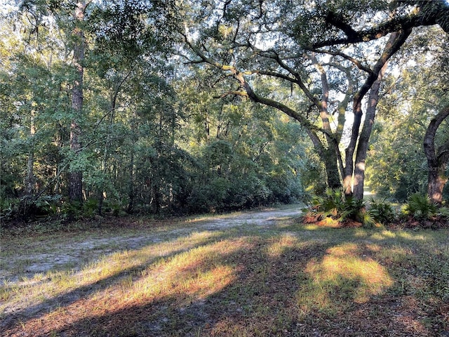 Listing photo 2 for TBD Sw 188th Place, Mc Alpin FL 32062