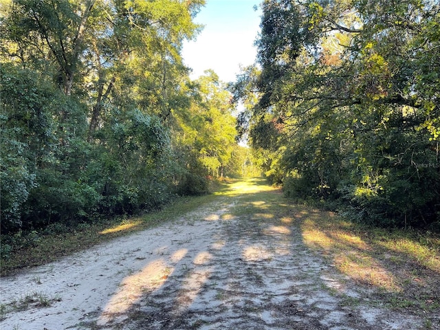 Listing photo 3 for TBD Sw 188th Place, Mc Alpin FL 32062