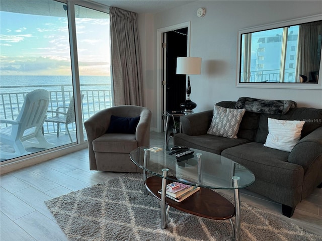 living room with plenty of natural light, light hardwood / wood-style floors, and a water view