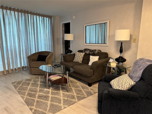 living room featuring hardwood / wood-style floors