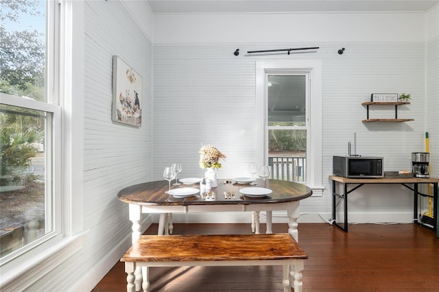 dining room featuring a healthy amount of sunlight and dark hardwood / wood-style flooring