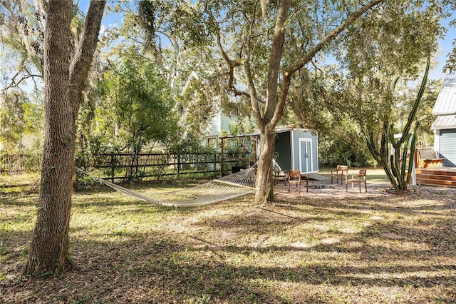 view of yard with a storage shed