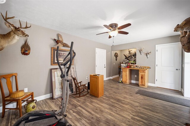 workout room with ceiling fan and dark hardwood / wood-style floors