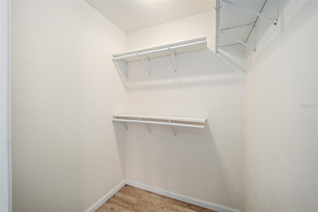 spacious closet featuring wood-type flooring