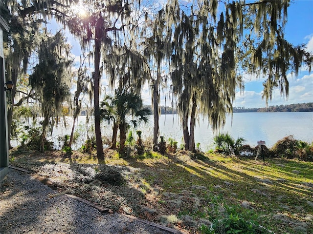 view of yard with a water view