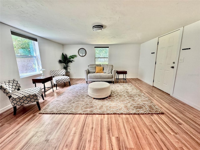 sitting room featuring a wealth of natural light, a textured ceiling, baseboards, and wood finished floors