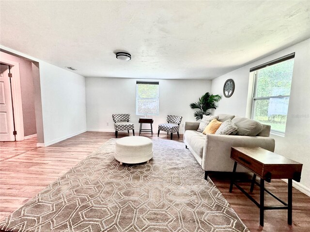 living room with wood-type flooring