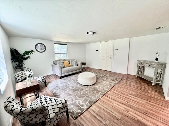 living room with hardwood / wood-style floors