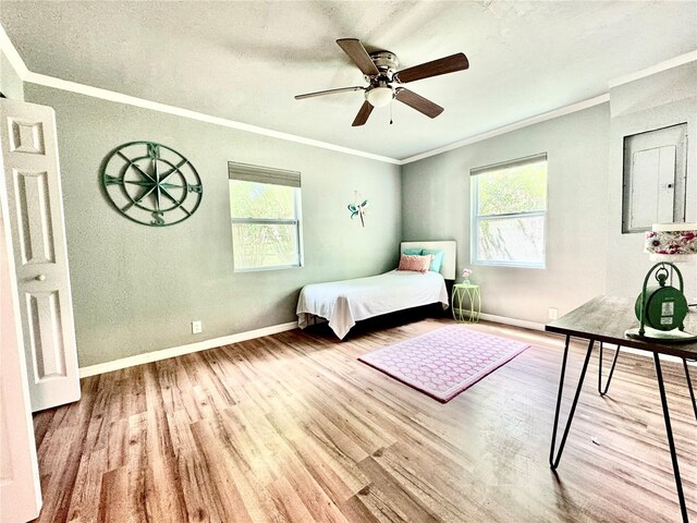 unfurnished bedroom with crown molding, ceiling fan, multiple windows, and light hardwood / wood-style floors