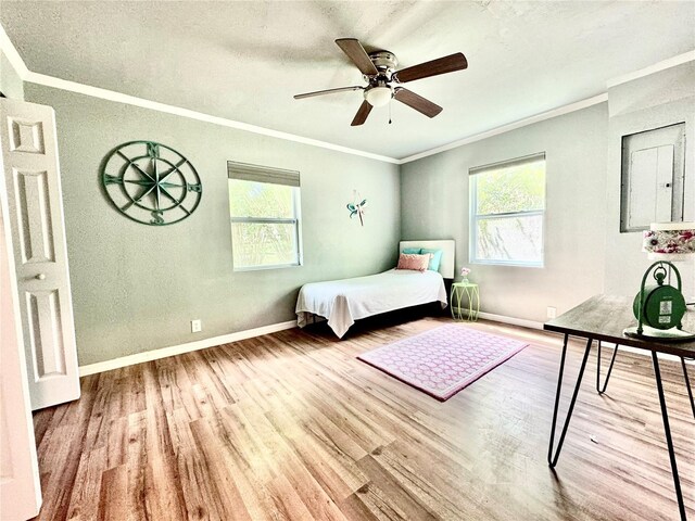 520 SE 5th St, Williston, FL 32696 - unfurnished bedroom featuring baseboards, crown molding, multiple windows, and wood finished floors