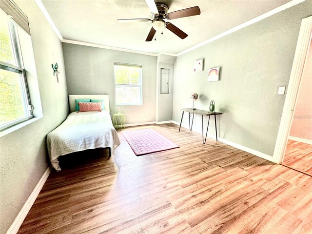 unfurnished bedroom with crown molding, ceiling fan, and light hardwood / wood-style floors