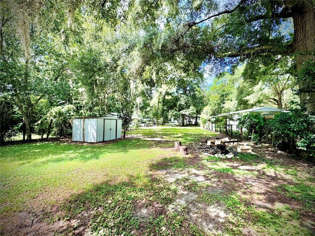 view of yard with a storage shed