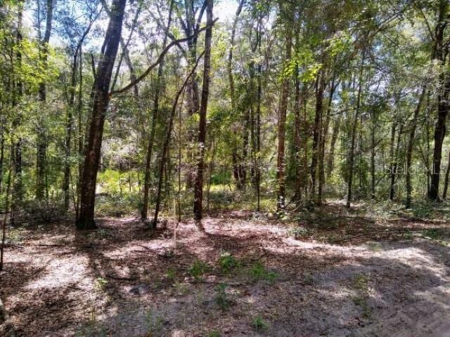 15003 SW 79th Pl, Archer FL, 32618 land for sale