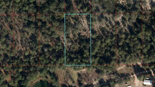 TBD NE 95th St, Bronson FL, 32621 land for sale