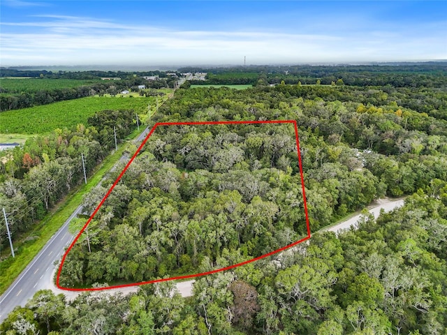 0001 SE State Rd 26, Trenton FL, 32693 land for sale