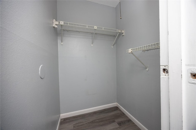 spacious closet featuring wood finished floors