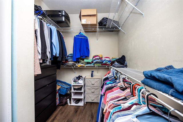 walk in closet featuring dark hardwood / wood-style flooring