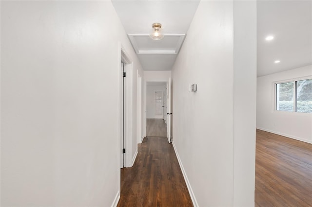 hall featuring dark wood-type flooring