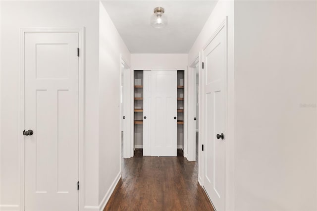 hall featuring dark hardwood / wood-style floors