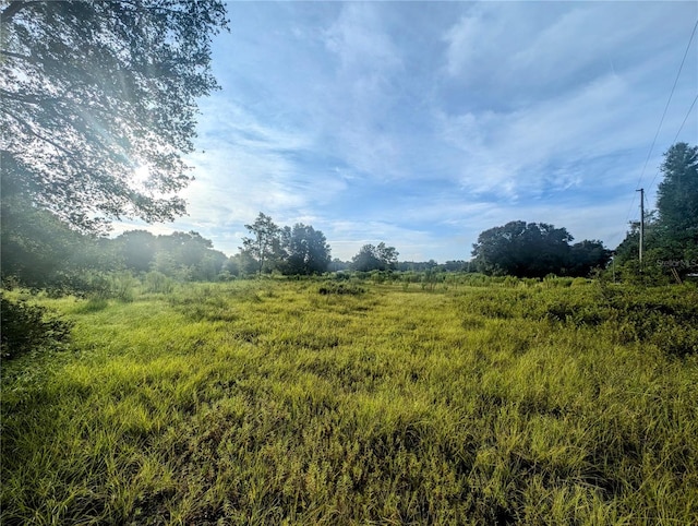 10316 SW 170th St, Archer FL, 32618 land for sale