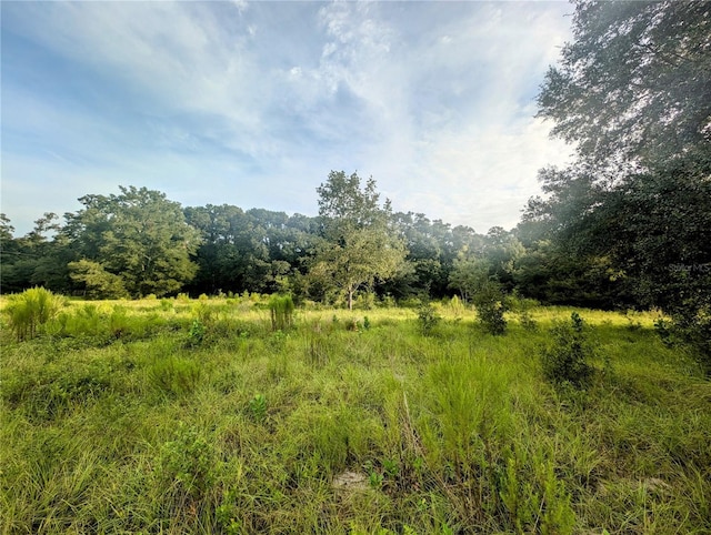 10316 SW 170th St, Archer, FL 32618