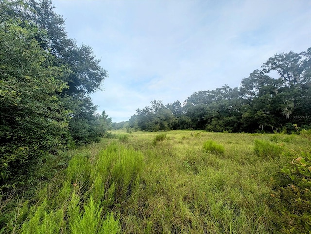 10316 SW 170th St, Archer, FL 32618