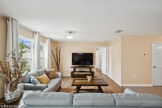 living room featuring wood-type flooring