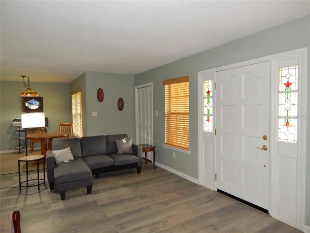 foyer with wood-type flooring and plenty of natural light