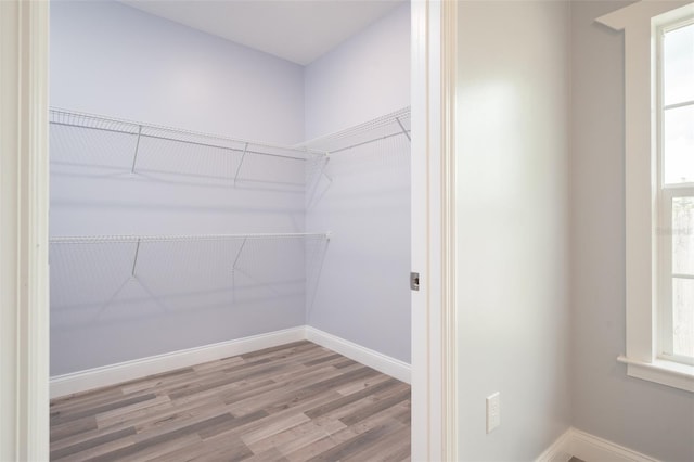 spacious closet with wood-type flooring