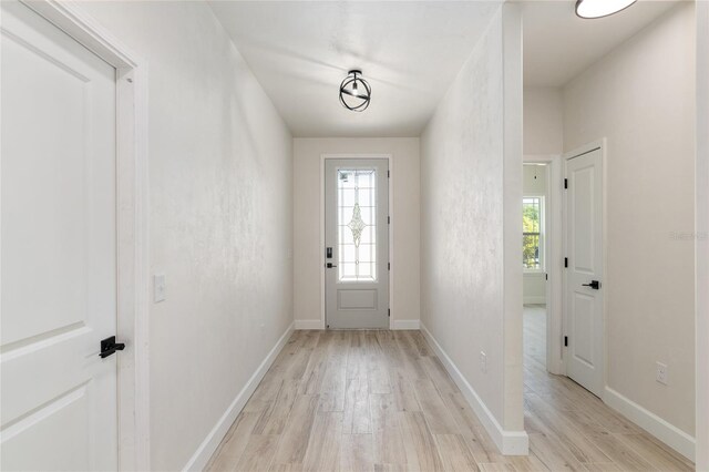 doorway featuring light hardwood / wood-style flooring and a healthy amount of sunlight