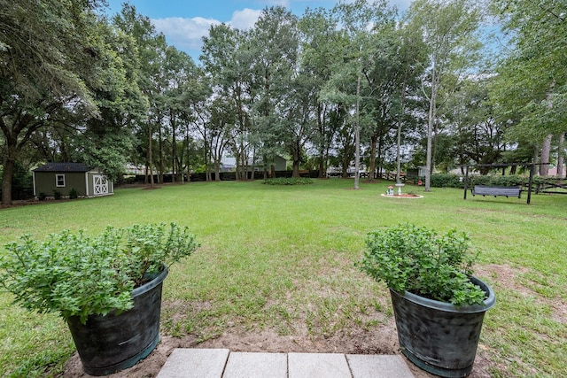 view of yard featuring a storage shed