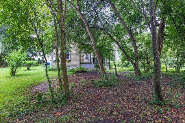 view of yard with a wooden deck