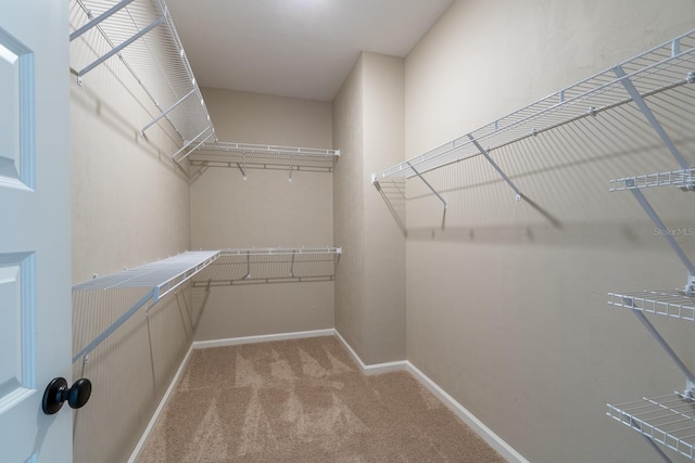 walk in closet with light carpet