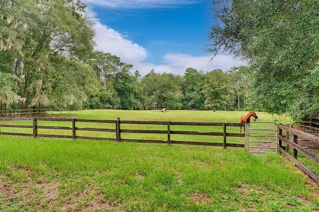 view of yard with a rural view