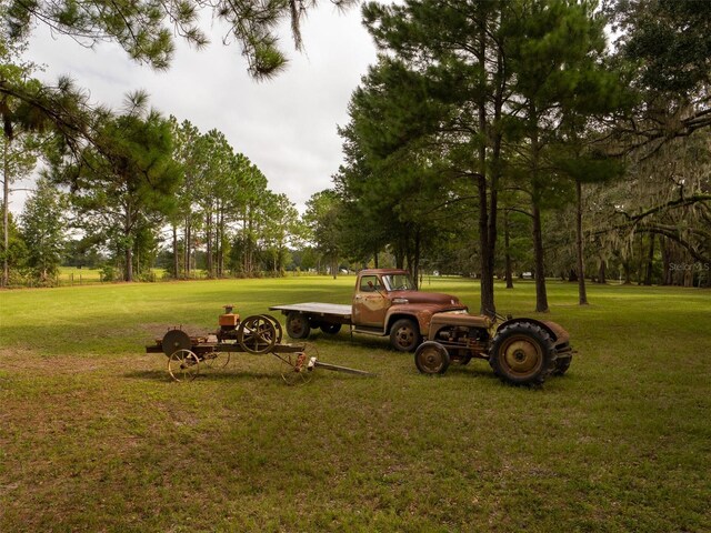 10291 SE County Road 245, Lake City, FL 32025 - photo 20