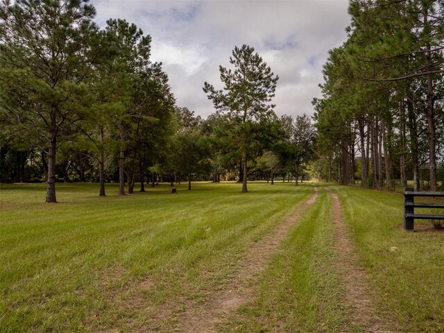 10291 SE County Road 245, Lake City, FL 32025 - photo 22